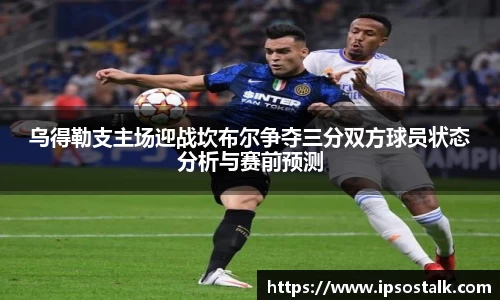 智博19